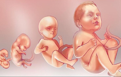 Phòng Khám Mẹ Và Bé